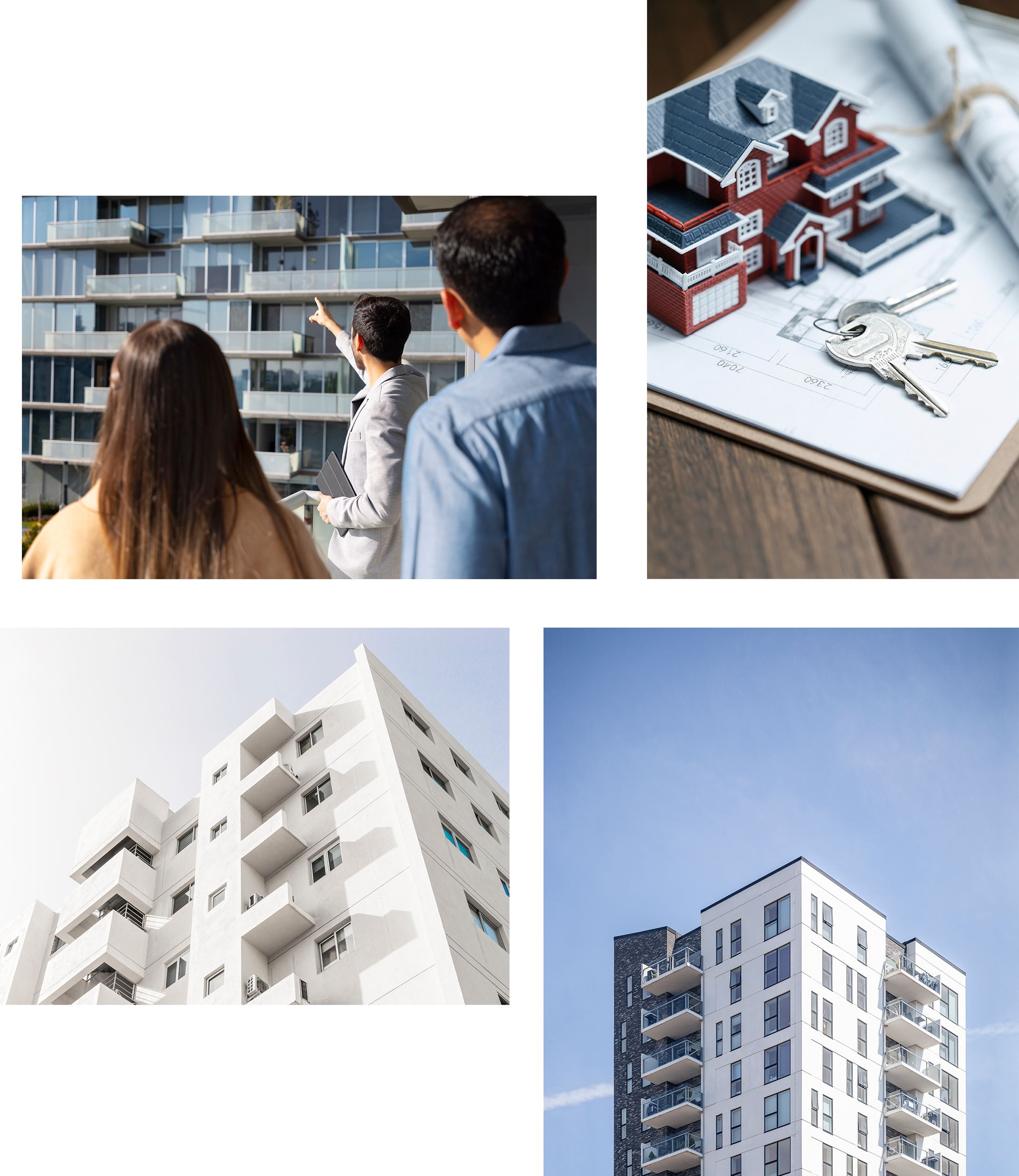 new-world-inmobiliaria